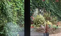 single-pane