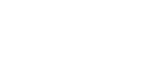 winzardLogo